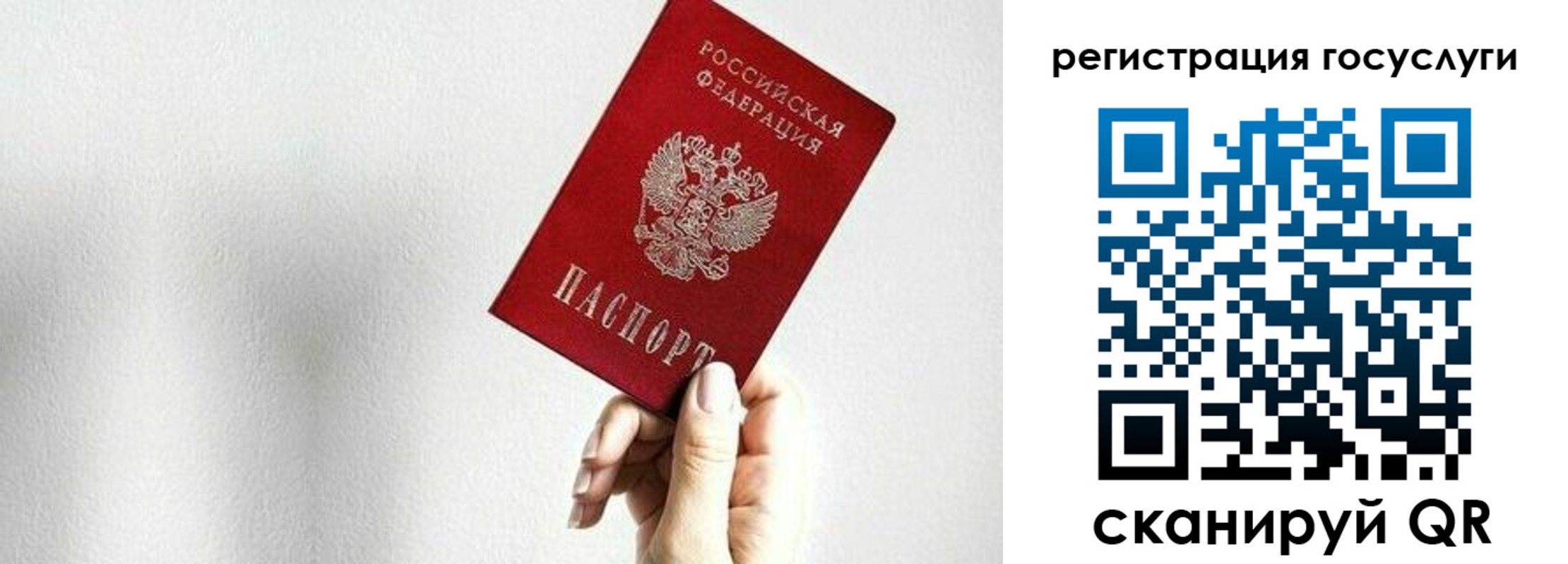 прописка гарантия в Северной Осетии
